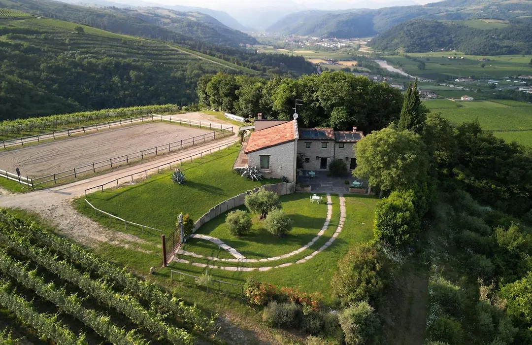 Tenuta Le Cave-1